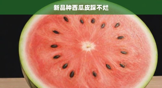 全新奇迹，新品种西瓜皮坚韧无比，踩不烂！引领未来，探索新品种西瓜—超强韧皮，无法踩烂！
