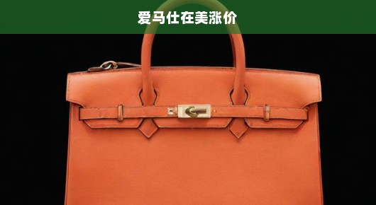 爱马仕在美涨价，豪华品牌的强劲增长势头