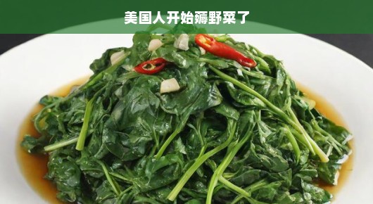 美国人的野菜热潮，一场突如其来的生活变革