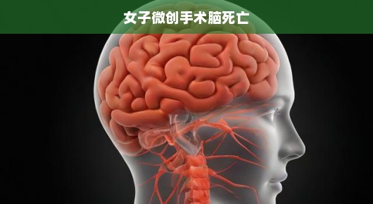 女子微创手术脑死亡，深度解析与应对之道