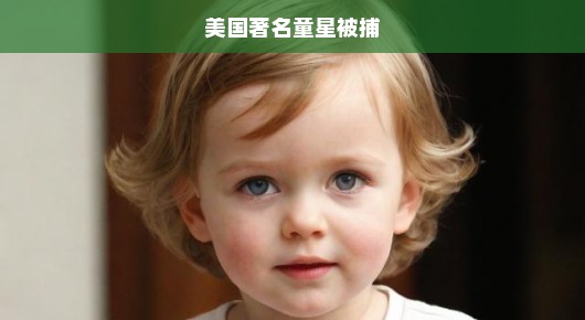 美国著名童星惊爆被捕内幕