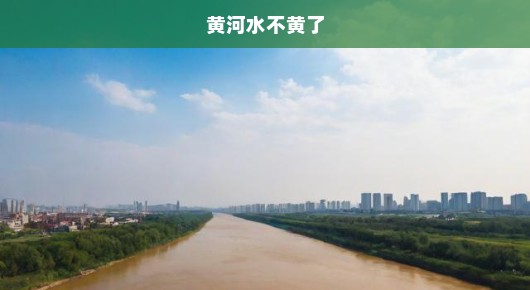 黄河水不黄了，探寻自然奇迹的背后
