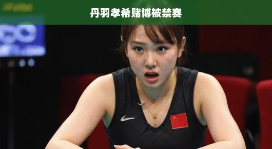 丹羽孝希赌博被禁赛，震惊体育界的丑闻