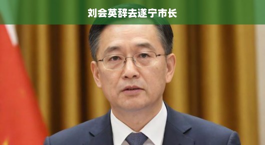刘会英辞去遂宁市长的背后