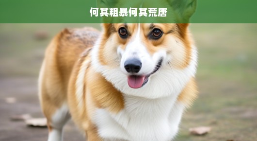 面对粗暴与荒唐，我们该如何应对？