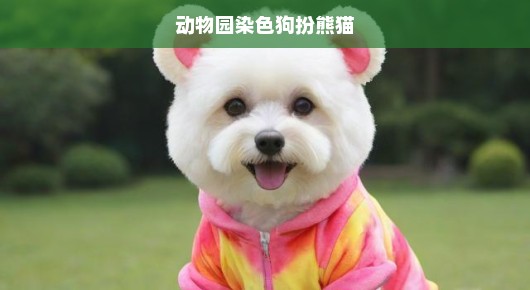 揭秘动物园染色狗扮熊猫事件，真相究竟如何？