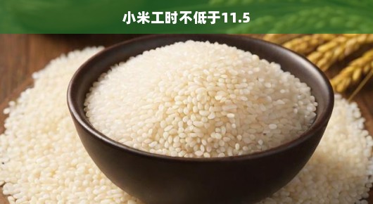 小米工时不低于11.5，挑战与应对的紧迫性