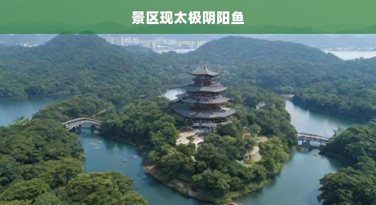 景区惊现神秘太极阴阳鱼，探寻自然奥秘与文化遗产的融合