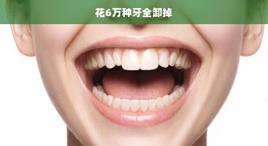 揭秘，花6万种牙全卸掉背后的真相与应对之策