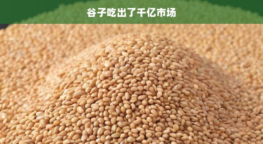 谷子的力量，揭示千亿市场的潜力与机遇