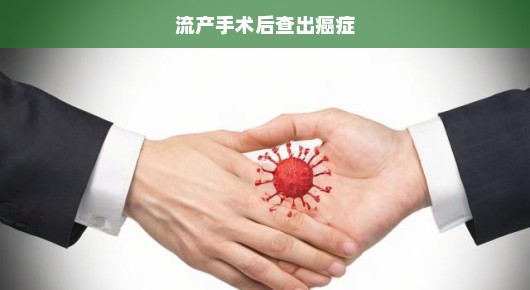 流产手术后意外查出癌症，揭示生命脆弱与医疗关怀的重要性