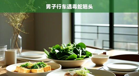 男子行车遭遇毒蛇翘头—惊险瞬间纪实