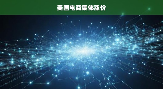美国电商集体涨价，行业趋势下的紧急应对