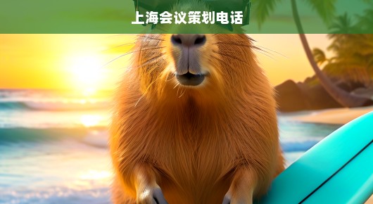 上海会议策划电话，一站式会议服务引领行业新风尚