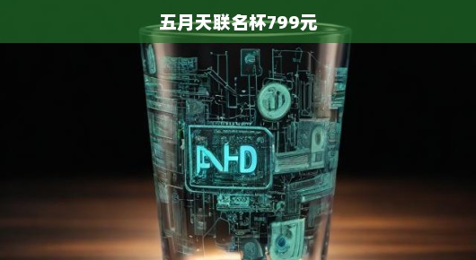 五月天联名杯，799元的独特魅力