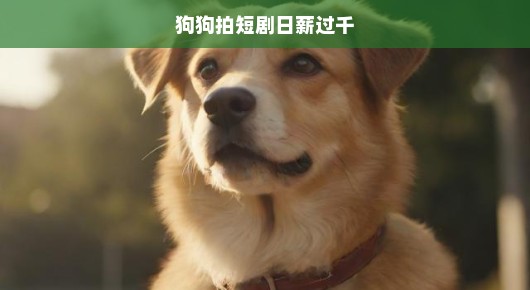 狗狗拍短剧日薪过千，揭秘宠物演艺圈的惊人商机