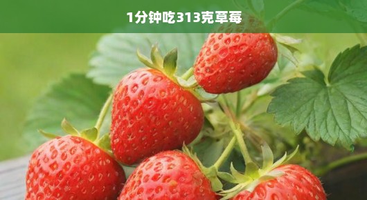 草莓盛宴，挑战一分钟吃下313克草莓