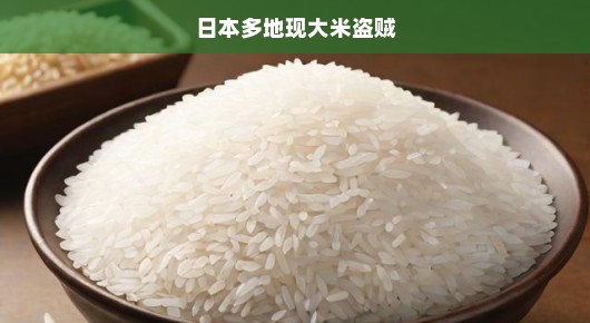 日本多地惊现大米盗贼，粮食安全面临严峻挑战