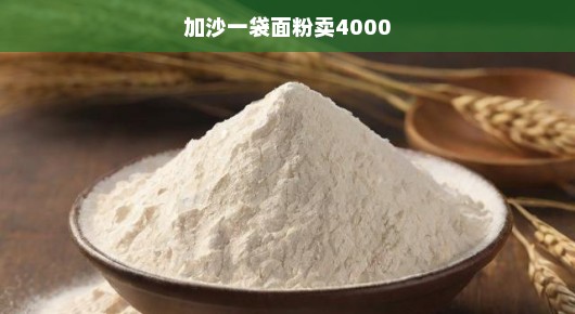 加沙一袋面粉卖价高达4000元—市场热议背后的真相
