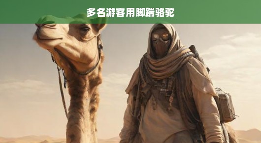骆驼遭踹事件引发关注，游客行为亟待规范