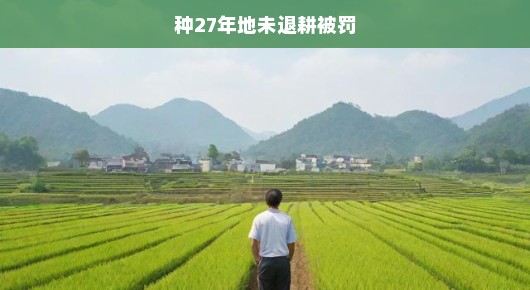 种27年地未退耕被罚，一位农民的困惑与反思