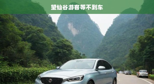 望仙谷游客等不到车—焦虑中的期待与解决之道