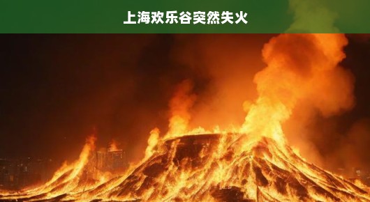 上海欢乐谷突发火灾紧急救援行动