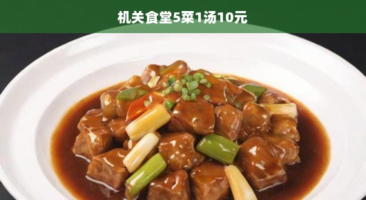 机关食堂5菜1汤仅需10元！物美价廉的公务餐饮新风尚