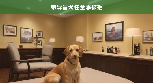 遭遇歧视，导盲犬与我们的困境—关于带导盲犬入住全季酒店的被拒经历