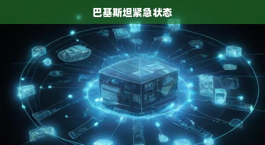 巴基斯坦紧急状态，危机与应对之策