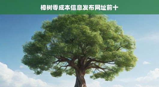 樟树零成本信息发布网址前十大推荐（偏向口语化叙述）