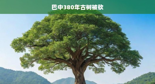 紧急呼吁，巴中一棵古树遭砍伐，保护千年遗产刻不容缓！
