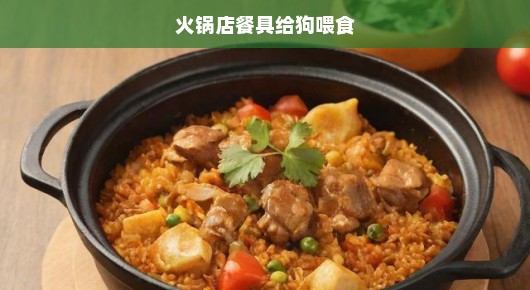 火锅店餐具意外成为狗狗美食！奇妙缘分背后的紧急喂食故事！