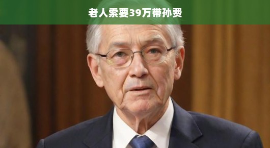 急诉！老人追讨巨额带孙费，背后故事引人深思，三十九万背后的家庭纠葛。