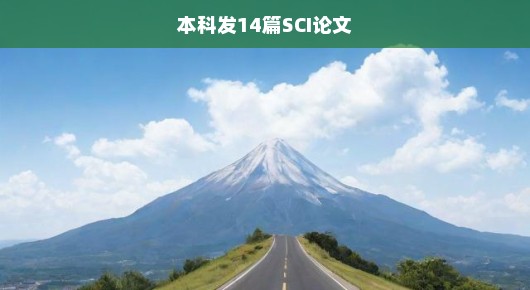本科生的科研之路，如何高效产出十四篇SCI论文，挑战学术巅峰？紧迫时刻！
