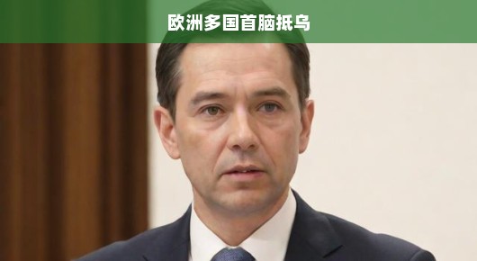 欧洲多国首脑紧急齐聚乌克兰，共商和平合作紧迫议题，呼吁立即行动！