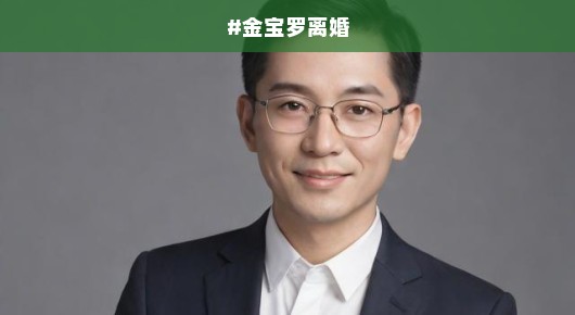 金宝罗离婚事件揭秘，深度探究背后原因及影响，令人扼腕叹息！