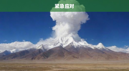 西藏拉孜突发5.5级地震！紧急应对与救援行动迅速启动！