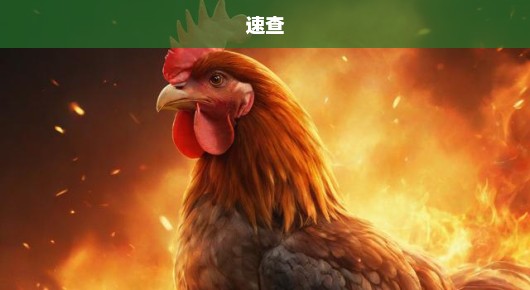 鸡西免费BB信息超火发布站，TOP10紧急搜寻！速查！