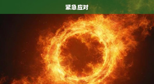 高温来袭！炎炎夏日挑战即将突破40℃！紧急应对，你准备好了吗？