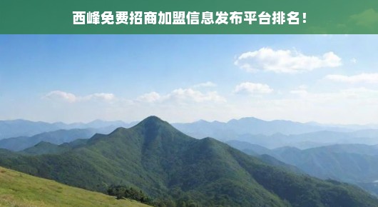 揭秘西峰免费招商加盟信息发布平台排名，不容错过！错过即失良机！