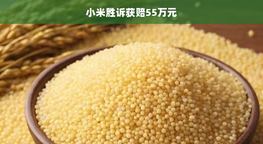 小米维权成功，正义急诉获赔55万！胜利终将到来！