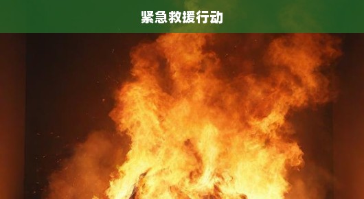金丝楠木博物馆突发大火！紧急救援行动正火速进行中！