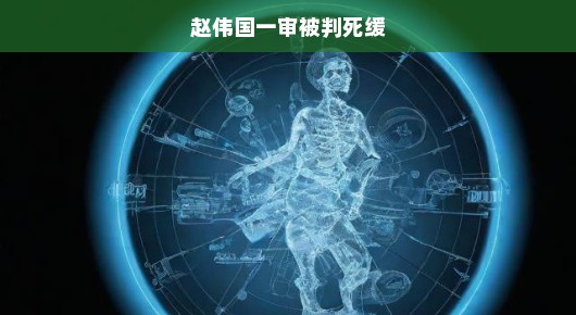 赵伟国一审死缓判决，法律公正与社会正义得到坚决彰显！