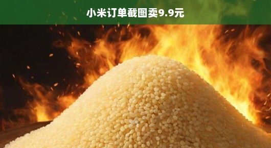 小米订单截图抢购火爆，9.9元背后的抢购狂欢故事揭秘，紧张气氛一触即发！