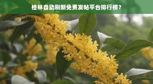 紧急！桂林自动刷新免费发帖平台排名，高效推广，不容错过！