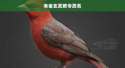 朱雀玄武敕令更名在即，古老力量重塑传承，时不我待，急迫之际重塑辉煌！