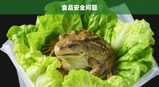 盒马惊现活青蛙在生菜袋中！食品安全问题引发紧急关注！