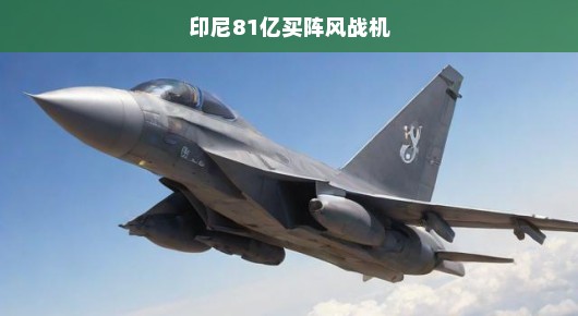 印尼急购81亿阵风战机，重塑国防力量刻不容缓！