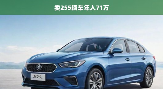卖车界销售神话揭秘，如何仅凭255辆，便年入71万，创造惊人业绩！